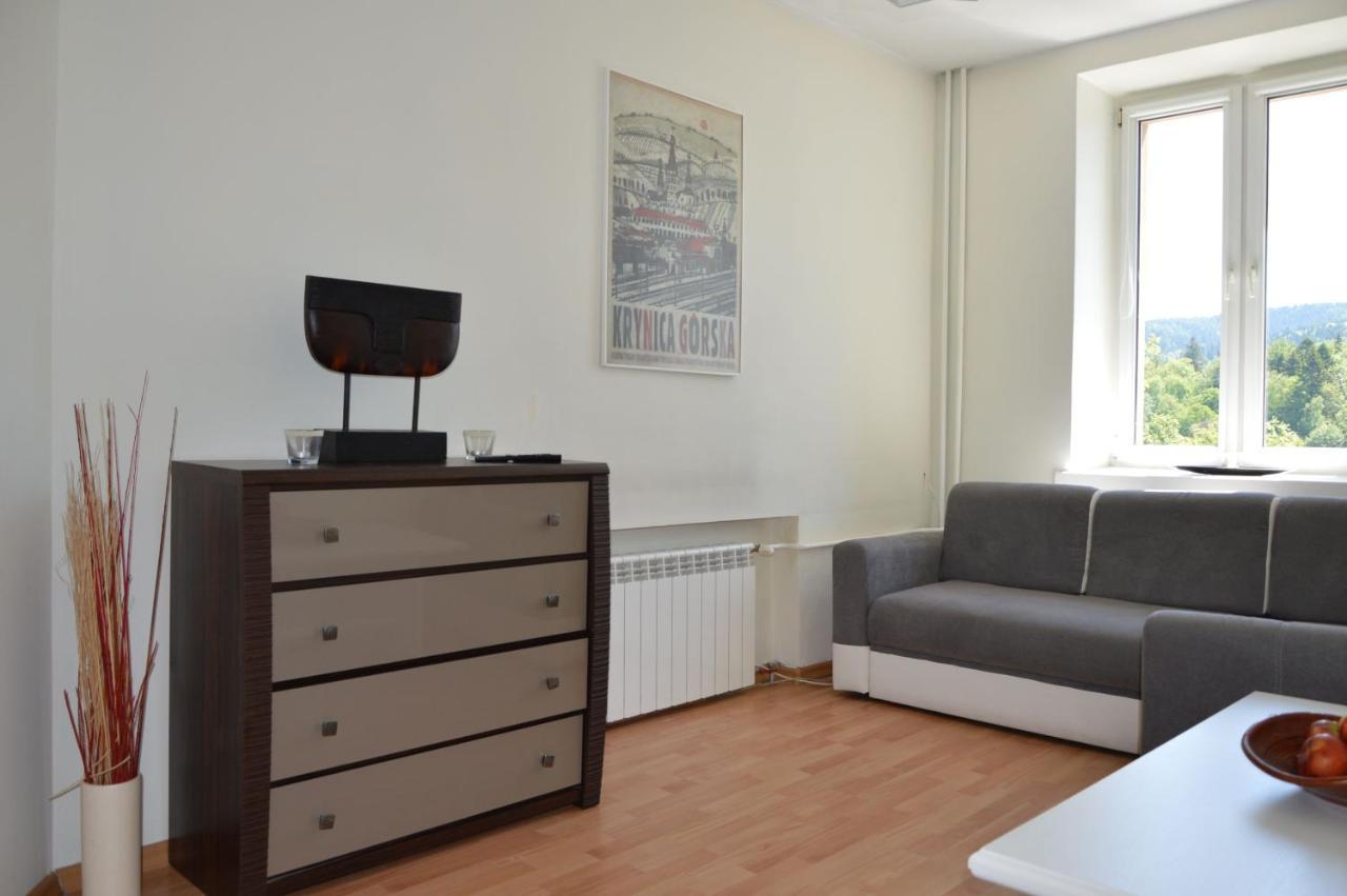 Apartament Pod Filarami Z Dostepem Do Krytego Basenu W Cenie Krynica Zdroj
